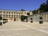 Musee Du Petit Palais (Museum)  Avignon  Provence  France  Europe