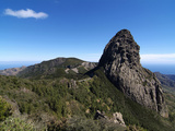 Parque Nacional De Garajonay  UNESCO World Heritage Site  Gomera  Canary Islands  Spain  Europe