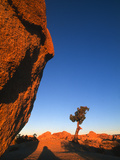 Sunset Casts Shadows on Boulders in Joshua Tree National Park  California  United States of America