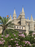 Palma Cathedral (La Seu)  Palma De Mallorca  Mallorca (Majorca)  Balearic Islands  Spain  Mediterra