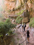 Lower Emerald Pool  Zion National Park  Utah  United States of America  North America