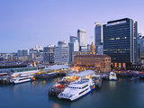 City Skyline  Auckland  North Island  New Zealand  Pacific