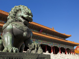Male Bronze Lion  Gate of Supreme Harmony  Outer Court  Forbidden City  Beijing  China  Asia