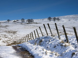 Track onto the Fell in Winter  Lower Pennines  Cumbria  England  United Kingdom  Europe