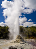 Lady Knox Geyser  Wai-O-Tapu Thermal Wonderland  North Island  New Zealand  Pacific