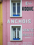 Collioure  Pyrenees Orientales  France  Europe