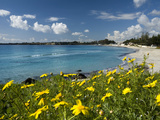 View over Beach in Spring  Fontane Bianche  Near Siracusa  Sicily  Italy  Mediterranean  Europe