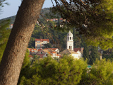 Cavtat Town Through Trees  Cavtat  Dalmatia  Croatia  Europe