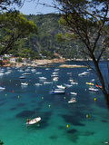 View over Bay  Aiguablava  Near Begur  Costa Brava  Catalonia  Spain  Mediterranean  Europe
