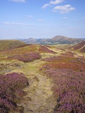 Views over Caradoc  Lawley and the Wrekin from the Long Mynd  Church Stretton Hills  Shropshire  En