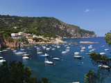 View over Bay  Aiguablava  Near Begur  Costa Brava  Catalonia  Spain  Mediterranean  Europe