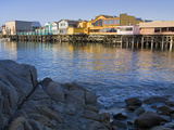 Breakwater Cove and Fisherman's Wharf  Monterey  California  United States of America  North Americ