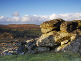 Evening Light  Hound Tor  Dartmoor National Park  Devon  England  United Kingdom  Europe