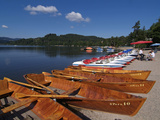 Schluchsee  Black Forest  Baden-Wurttemberg  Germany  Europe