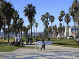 Venice Beach  Los Angeles  California  United States of America  North America