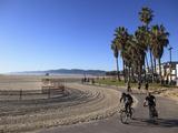 Venice Beach  Los Angeles  California  United States of America  North America