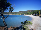 Palombaggia Beach  Near Porto Vecchio  South East Corsica  Corsica  France  Mediterranean  Europe
