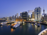 City Skyline  Auckalnd  North Island  New Zealand  Pacific