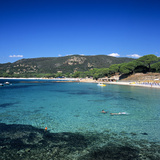 Palombaggia Beach  Near Porto Vecchio  South East Corsica  Corsica  France  Mediterranean  Europe