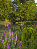 The Jardins Des Prebendes D'Oe  Tours  Indre Et Loire  Centre  France  Europe