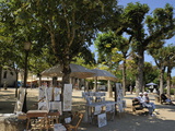 Artist's Stall in a Tree Lined Promenade  Bastide Town  Domme  Les Plus Beaux Villages De France  D