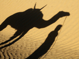 Camel Driver's Shadow in the Sahara Desert  Near Douz  Kebili  Tunisia  North Africa  Africa
