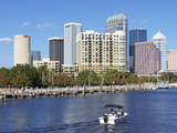 Tampa  Gulf Coast  Florida  United States of America  North America
