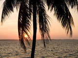 Punta Gorda  Cienfuegos  Cuba  West Indies  Caribbean  Central America