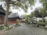 Yu Yuan (Yuyuan) Gardens  Shanghai  China  Asia