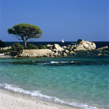 Palombaggia Beach  Near Porto Vecchio  South East Corsica  Corsica  France  Mediterranean  Europe