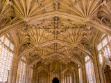 Bodleian Library Interior  Oxford University  Oxford  Oxfordshire  England  United Kingdom  Europe