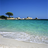Palombaggia Beach  Near Porto Vecchio  South East Corsica  Corsica  France  Mediterranean  Europe