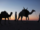 Camel Drivers at Dusk in the Sahara Desert  Near Douz  Kebili  Tunisia  North Africa  Africa