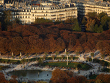 Aerial View of the Luxembourg Garden  Paris  France  Europe