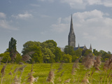 Salisbury Cathedral  Salisbury  Wiltshire  England  United Kingdom  Europe