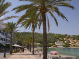 Beach with Palm Trees  Soller  Mallorca  Balearic Islands  Spain  Mediterranean  Europe