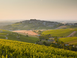 Dawn Light Starts to Fill the Skies Above the Village and Vineyards of Sanerre  Cher  Loire Valley 