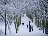 Hampstead Heath in Winter  North London  England  United Kingdom  Europe