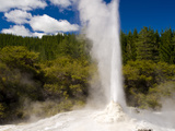 Lady Knox Geyser  Wai-O-Tapu Thermal Wonderland  North Island  New Zealand  Pacific