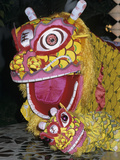 Chinese Dragon Dance at Chinese New Year Celebrations  Vietnam  Indochina  Southeast Asia  Asia