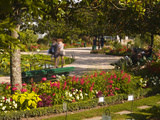 People Walking Through the Jardins Botanique (Botanical Gardens)  Tours  Indre Et Loire  Centre  Fr