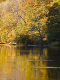 Beautiful Autumn Colours Reflecting in the River Creuse  a Favourite Area of the River of the Artis