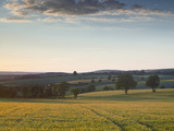 Bue  Sancerre  Cher  Loire Valley  Centre  France  Europe