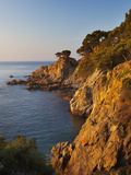Coastline at Dawn  Calella De Palafrugell  Costa Brava  Catalonia  Spain  Mediterranean  Europe