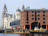 Royal Liver Building and Albert Docks  UNESCO World Heritage Site  Liverpool  Merseyside  England  