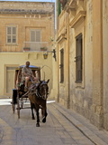 Mdina  the Fortress City  Malta  Europe