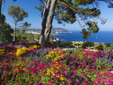 Jardins Botanico De Cap Roig  Calella De Palafrugell  Costa Brava  Catalonia  Spain  Mediterranean 