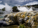 Whakarewarewa Thermal Reserve  North Island  New Zealand  Pacific