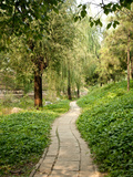 Path in Yuanmingyuan (Yuan Ming Yuan) Park  Old Summer Palace  Beijing  China  Asia