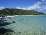 Palombaggia Beach  Near Porto Vecchio  South East Corsica  Corsica  France  Mediterranean  Europe